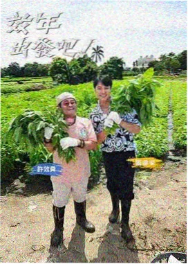 免费观看电视剧连续剧大全 欢乐喜剧人巅峰
